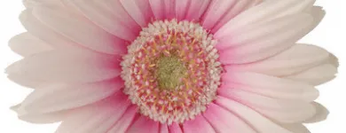 Business 1 image SAMANTHA JANES BEAUTY Beauty Salons & Consultants in Romford Gr