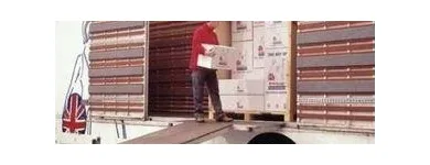 Business 16 image SEA FISHING TRIPS Tours & Sightseeing in GREAT YARMOUTH No