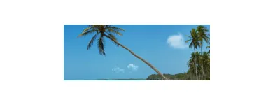 Business 2 image SECOND NATURE @ KZ HAIR Beauty Salons & Consultants in Glasgow La