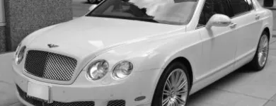 Business 5 image SHADOW CARRIAGE LTD Wedding Supplies in Maidenhead Be