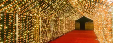 Business 15 image SOUNDWAVESLIGHTING Shopping & Retail in Southall Mi