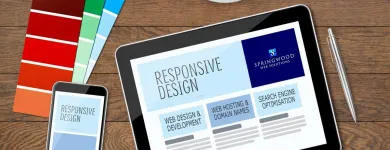 Business 1 image SPRINGWOOD WEB SOLUTIONS Web Hosting & Domain Name Registration in Liverpool Me