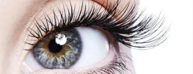 Business 7 image THE BEAUTY CENTRE Beauty Salons & Consultants in Glasgow La