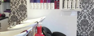 Business 16 image THE FUNKY BARNET Hairdressers in Reading Be