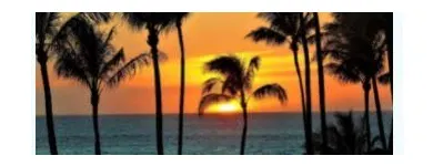 Business 4 image THE SUN TRAVELS Travel Insurance in Blackburn La