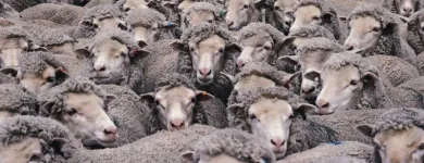 Business 3 image THOROUGH SERVICES GROUP Commercial Cleaning in Hornchurch Gr