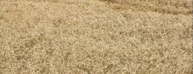 Business 1 image THOROUGH SERVICES GROUP Commercial Cleaning in Hornchurch Gr