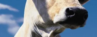 Business 2 image THOROUGH SERVICES GROUP Commercial Cleaning in Hornchurch Gr