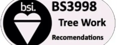 Business 9 image TREE NINJAS Tree Surgeons in Epsom Su