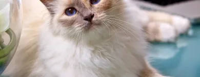 Business 6 image TROYKA ASSOCIATES LTD Architects in Birmingham We