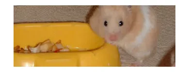 Business 8 image TROYKA ASSOCIATES LTD Architects in Birmingham We