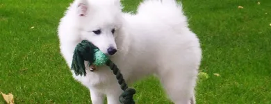 Business 9 image TROYKA ASSOCIATES LTD Architects in Birmingham We