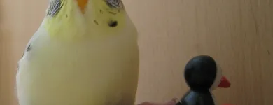 Business 2 image TROYKA ASSOCIATES LTD Architects in Birmingham We