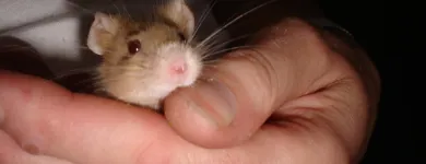 Business 3 image TROYKA ASSOCIATES LTD Architects in Birmingham We