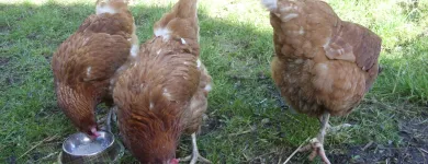 Business 4 image TROYKA ASSOCIATES LTD Architects in Birmingham We