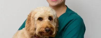 Business 6 image VALLEY VETS, YSTRAD MYNACH Veterinary Services in Ystrad Mynach Mi