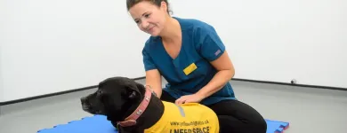 Business 17 image VALLEY VETS, YSTRAD MYNACH Veterinary Services in Ystrad Mynach Mi