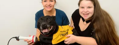 Business 19 image VALLEY VETS, YSTRAD MYNACH Veterinary Services in Ystrad Mynach Mi