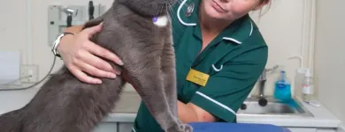 Business 26 image VALLEY VETS, YSTRAD MYNACH Veterinary Services in Ystrad Mynach Mi