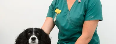 Business 29 image VALLEY VETS, YSTRAD MYNACH Veterinary Services in Ystrad Mynach Mi