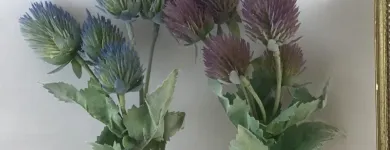 Business 4 image VILLAGE GREEN WHOLESALE LTD Wholesale Trade in Melton Mowbray Le