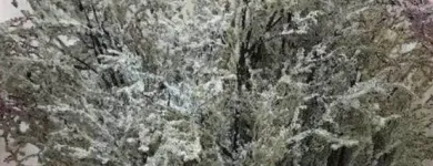 Business 5 image VILLAGE GREEN WHOLESALE LTD Wholesale Trade in Melton Mowbray Le