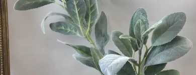 Business 11 image VILLAGE GREEN WHOLESALE LTD Wholesale Trade in Melton Mowbray Le