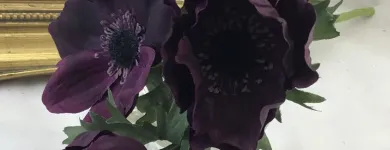 Business 12 image VILLAGE GREEN WHOLESALE LTD Wholesale Trade in Melton Mowbray Le