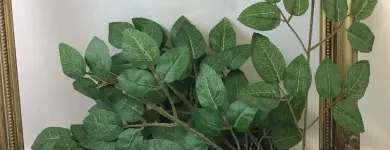 Business 13 image VILLAGE GREEN WHOLESALE LTD Wholesale Trade in Melton Mowbray Le