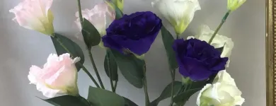 Business 17 image VILLAGE GREEN WHOLESALE LTD Wholesale Trade in Melton Mowbray Le