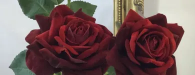 Business 18 image VILLAGE GREEN WHOLESALE LTD Wholesale Trade in Melton Mowbray Le