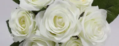 Business 19 image VILLAGE GREEN WHOLESALE LTD Wholesale Trade in Melton Mowbray Le