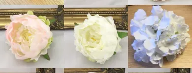 Business 21 image VILLAGE GREEN WHOLESALE LTD Wholesale Trade in Melton Mowbray Le