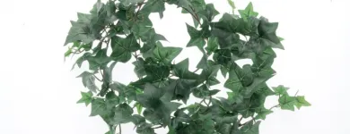 Business 28 image VILLAGE GREEN WHOLESALE LTD Wholesale Trade in Melton Mowbray Le