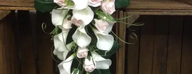 Business 32 image VILLAGE GREEN WHOLESALE LTD Wholesale Trade in Melton Mowbray Le