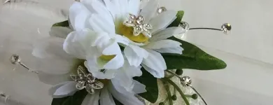 Business 34 image VILLAGE GREEN WHOLESALE LTD Wholesale Trade in Melton Mowbray Le