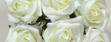 Business 37 image VILLAGE GREEN WHOLESALE LTD Wholesale Trade in Melton Mowbray Le