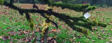 Business 1 image WOOF PACK DERBY Pets & Animals in Derby De