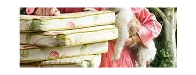 Business 13 image ZOE KNIGHT INTERIORS Upholsterers in Orpington Ke