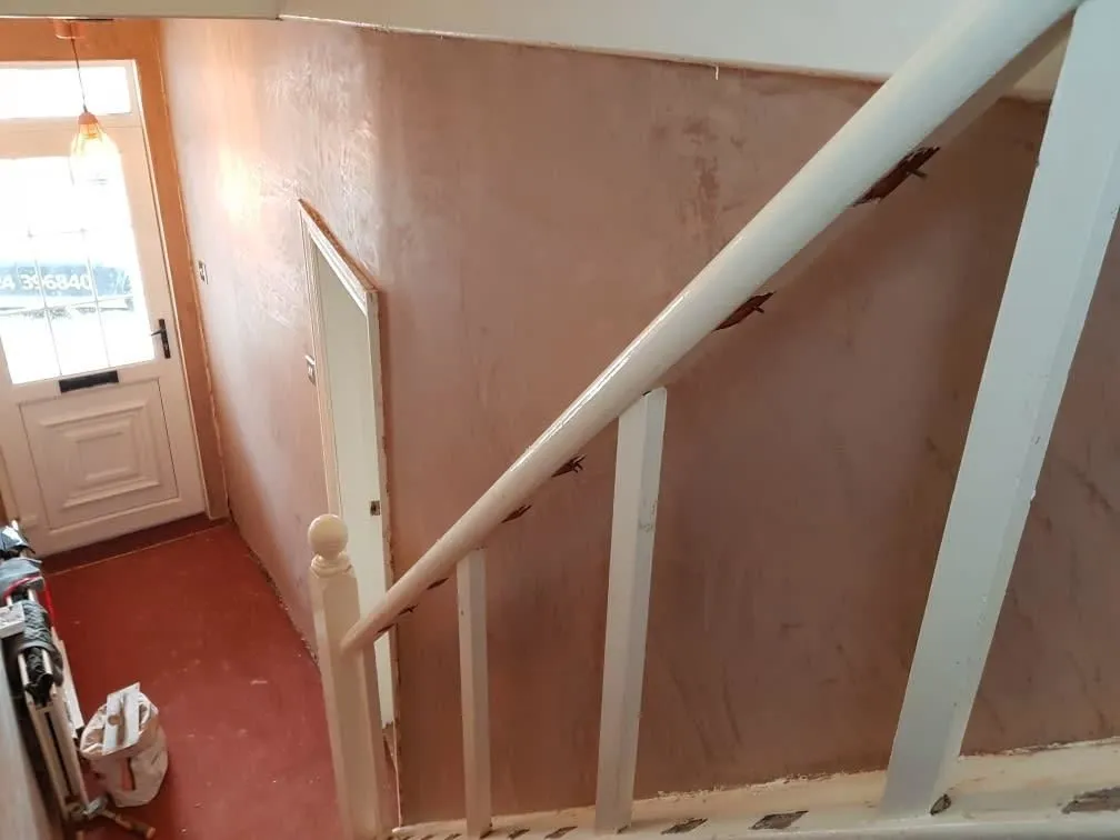 Business 31 image CT PLASTERING