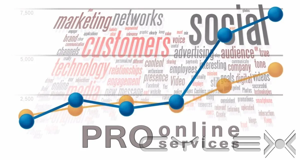 Business 1 image PRO ONLINE SERVICES