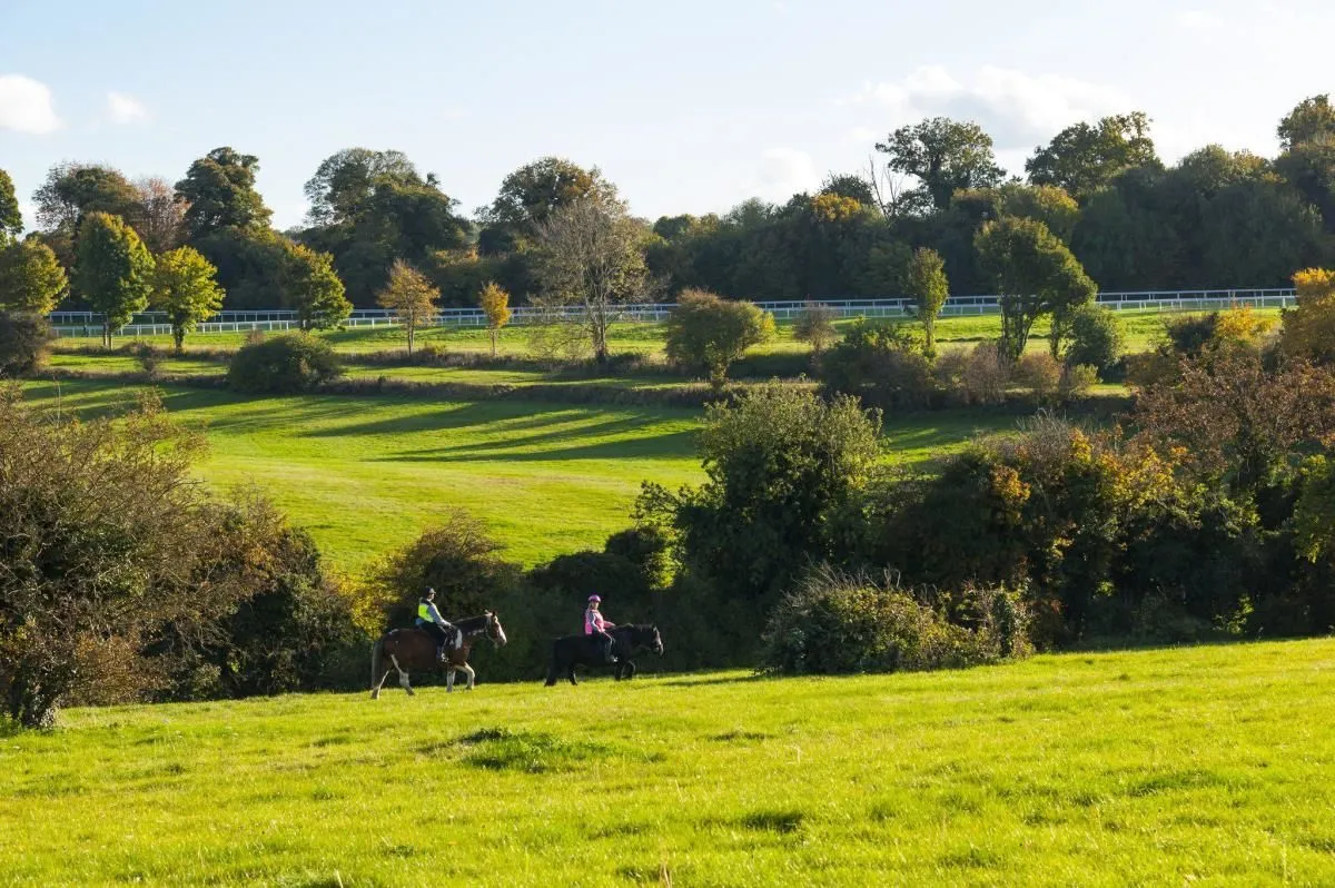 Business 60 image HOLIDAY INN EXPRESS LONDON - EPSOM DOWNS, AN IHG HOTEL