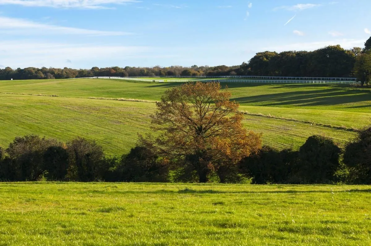Business 83 image HOLIDAY INN EXPRESS LONDON - EPSOM DOWNS, AN IHG HOTEL