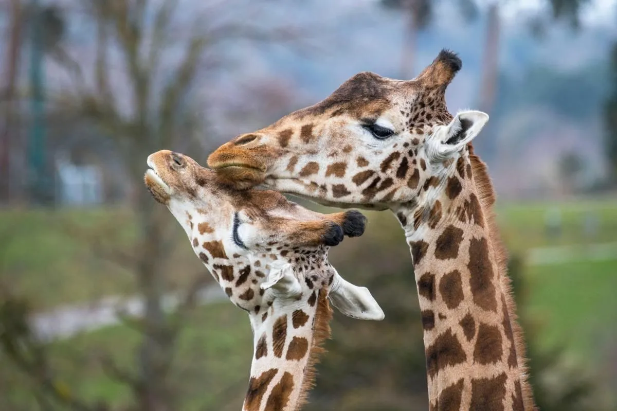 Business 2 image HOLIDAY INN EXPRESS EAST MIDLANDS AIRPORT, AN IHG HOTEL