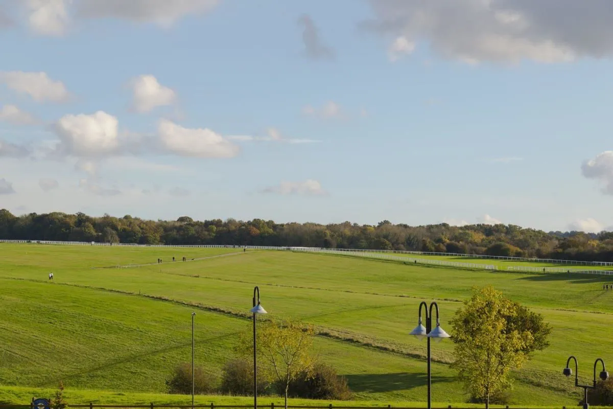 Business 39 image HOLIDAY INN EXPRESS LONDON - EPSOM DOWNS, AN IHG HOTEL