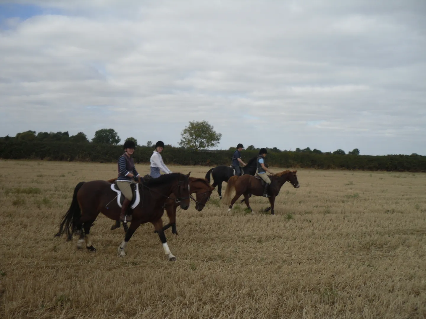 Business 3 image ARC CAR WASH