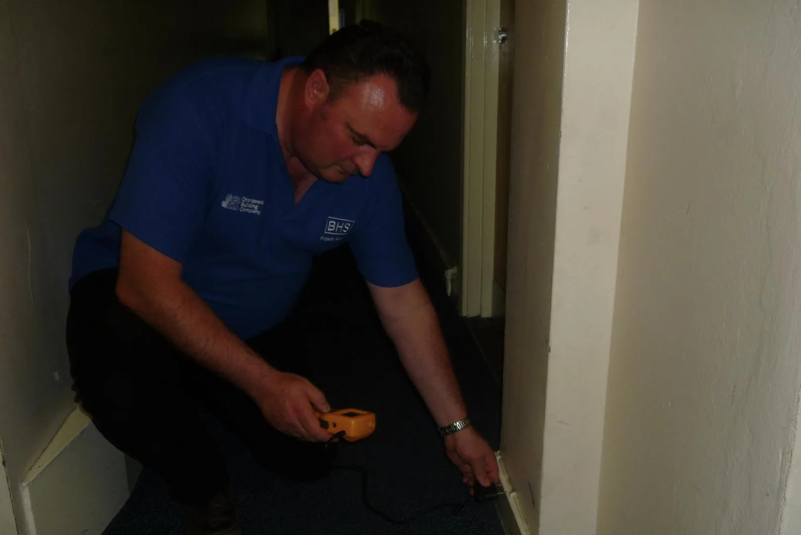 Business 17 image EMERALD