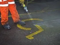 Business 1 image PETE SIMS GARDEN DESIGN (LGS) LTD