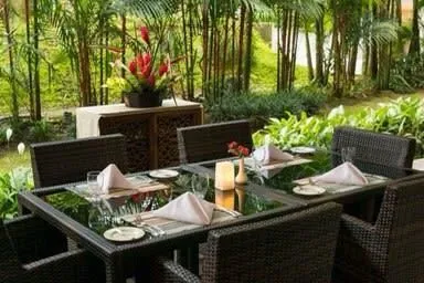 Business 2 image LAYLA'S TRAVELS