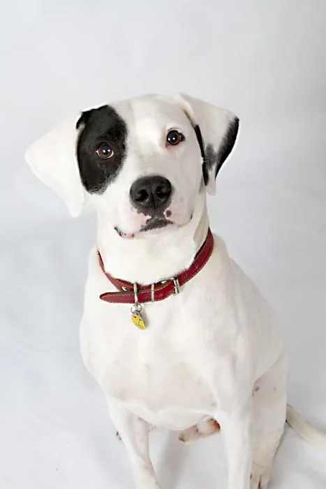 Business 6 image STUDIO'92